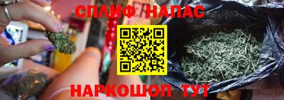 сатива Бугуруслан