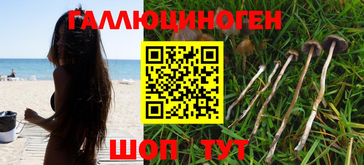 Галлюциногенные грибы мухоморы Тайшет