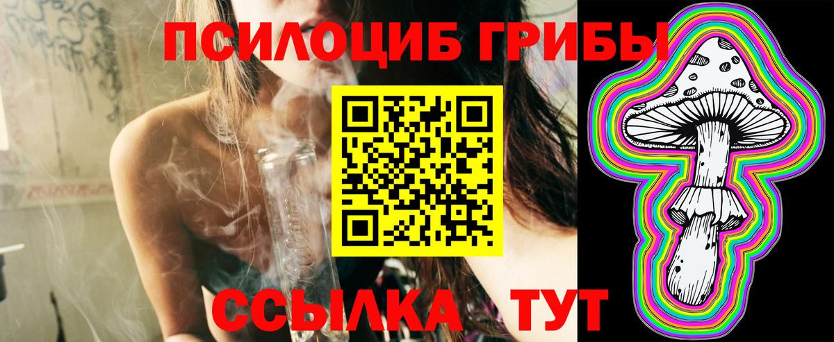 Галлюциногенные грибы GOLDEN TEACHER  Галлюциногенные грибы Psilocybe  Тайшет  Вход с VPN 